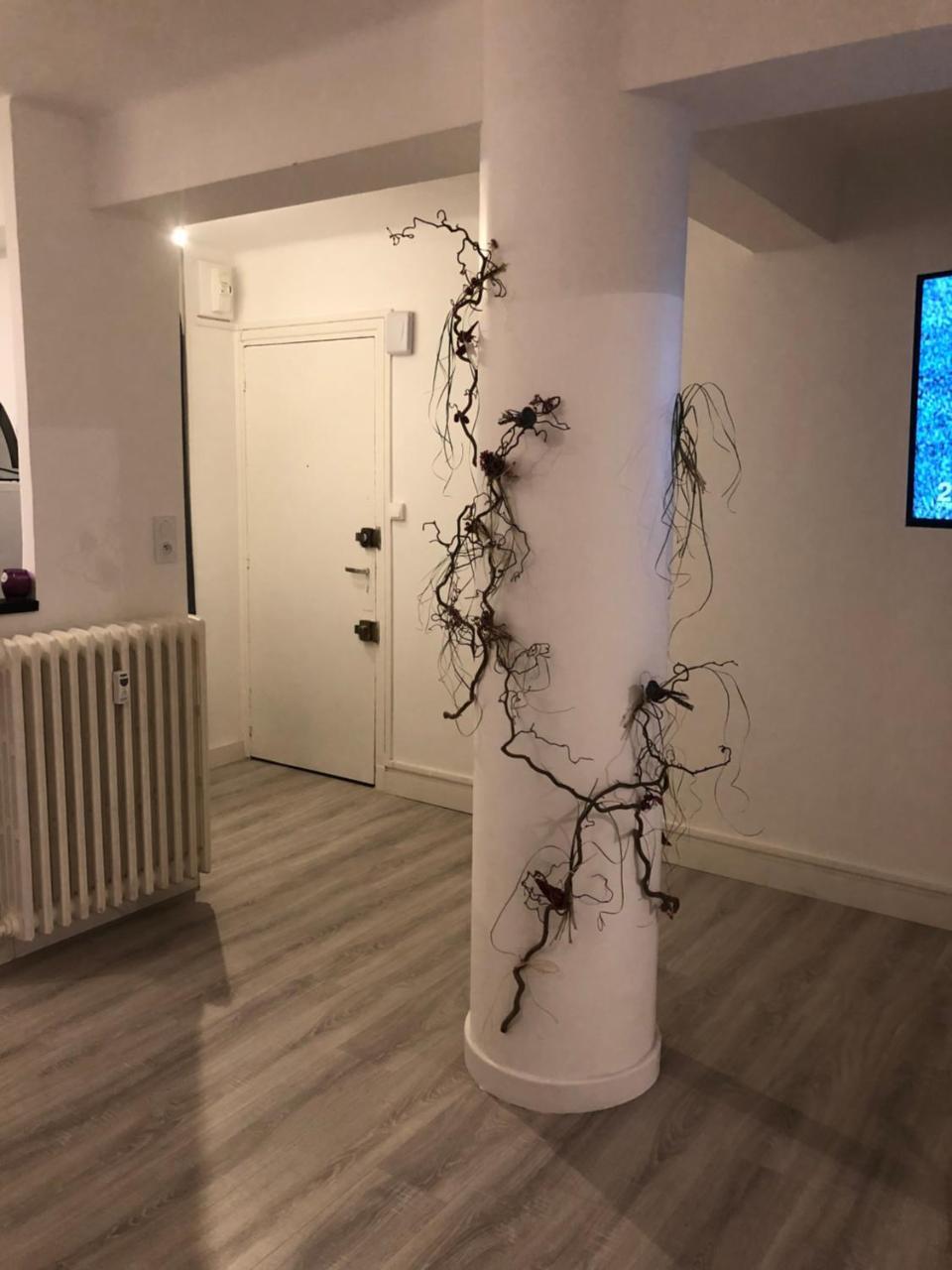 Appartement Dupuy T3 Aseptisé à Toulouse Extérieur photo